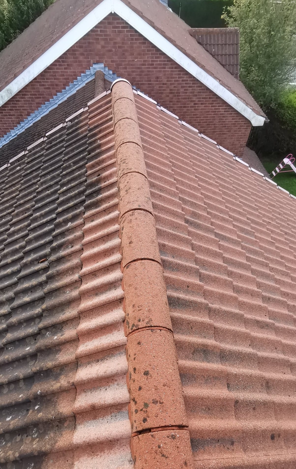 roof cleaning in county down